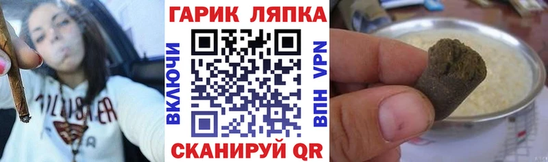 где купить наркоту  kraken как зайти  ГАШ индика сатива  Шали 