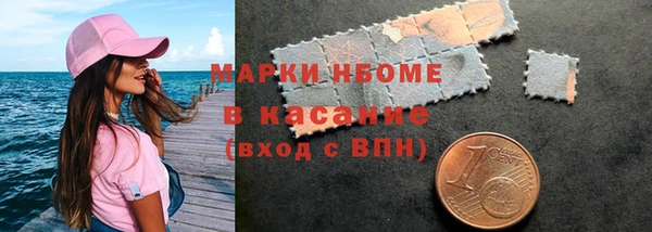 прущие грибы Нижневартовск