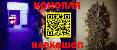 индика Будённовск