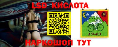 индика Будённовск