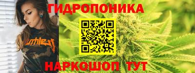 сатива Гусиноозёрск