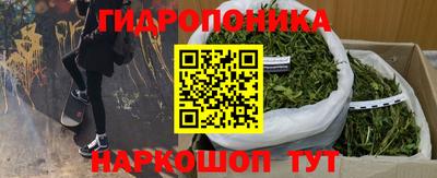 индика Бузулук