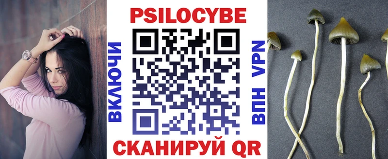 где можно купить наркотик  Шали  Галлюциногенные грибы ЛСД 