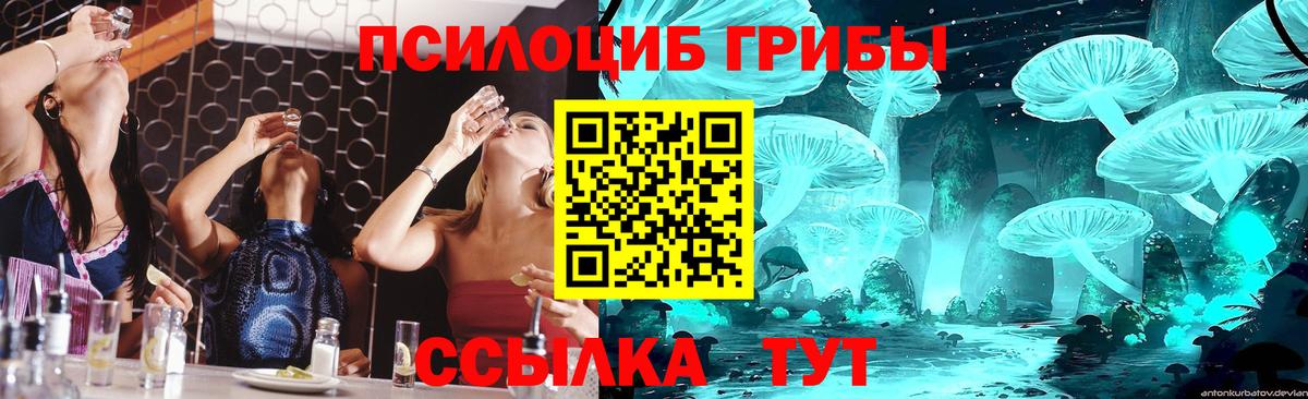 Галлюциногенные грибы прущие грибы  Вход с VPN  Шали  Галлюциногенные грибы Psilocybine cubensis 