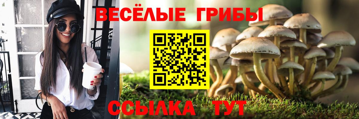 Галлюциногенные грибы MAGIC MUSHROOMS Шали